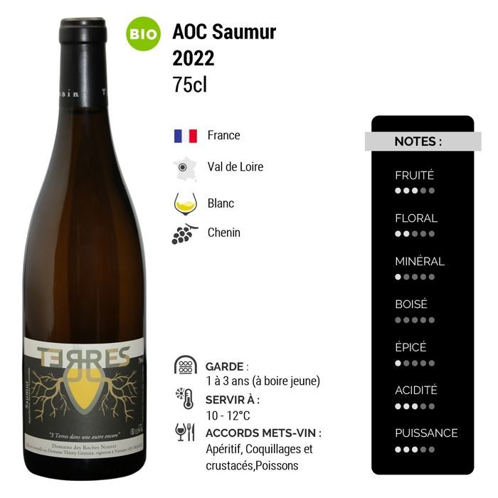 Domaine des Roches Neuves Saumur Terres - Cuvée en Amphore 2022 - White Wine from the Loire Valley (3x75cl) Organic