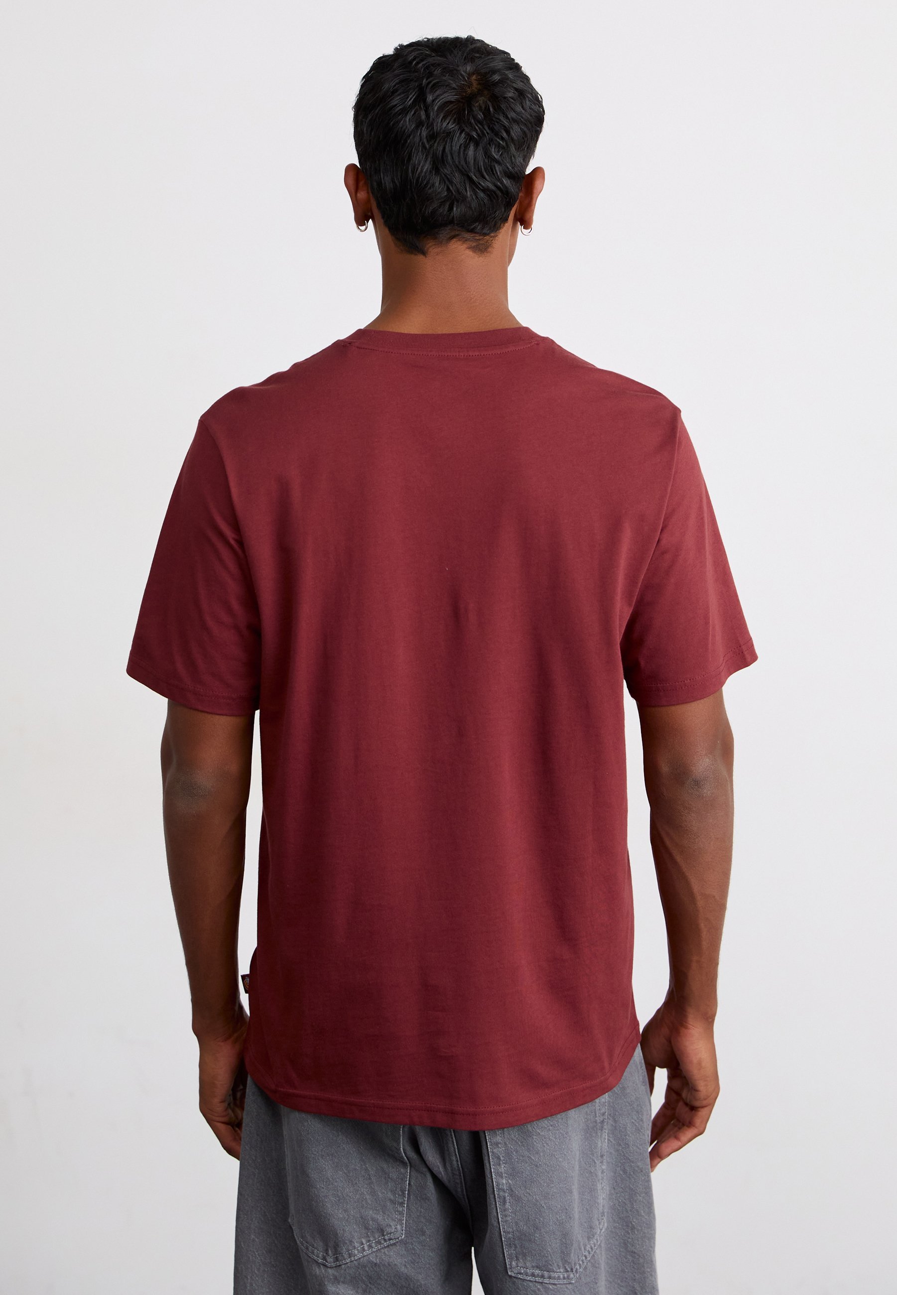 T-shirt basic Dickies