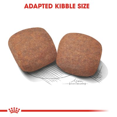 Royal Canin Giant Adult