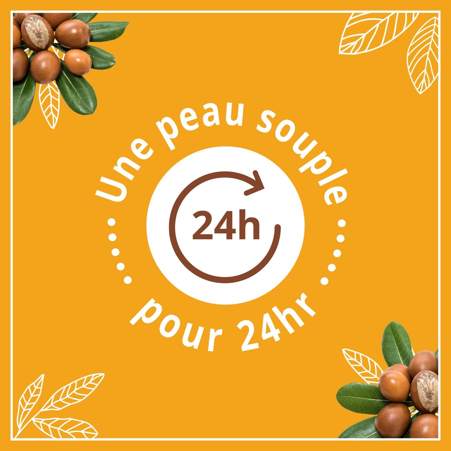 Le Petit Marseillais Lait Corps Hydratant[[,]] Beurre de Karité[[,]]Amande et Huile d'Argan[[,]]