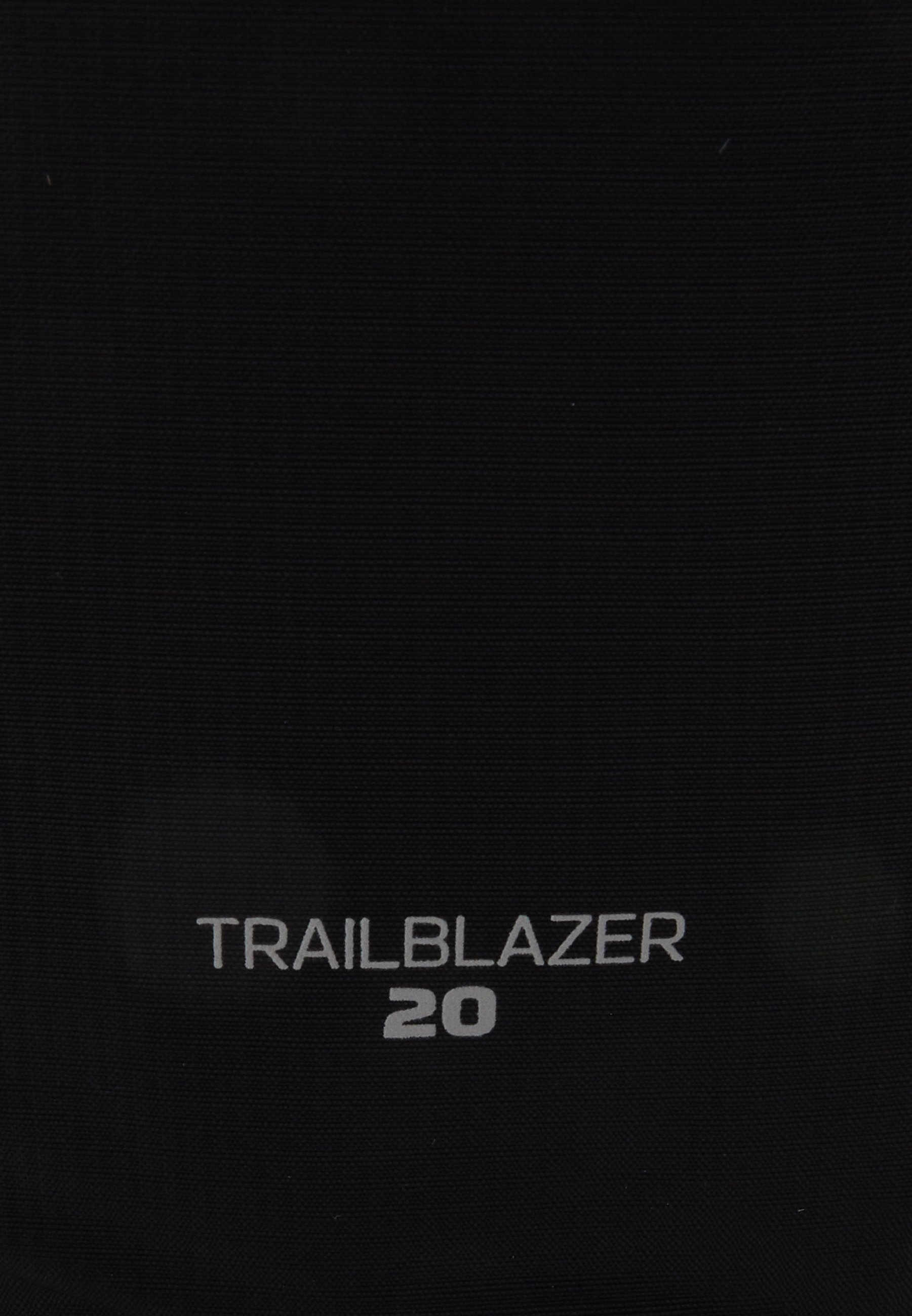 Salomon TRAILBLAZER 20 UNISEX - Rugzak - zwart/legering