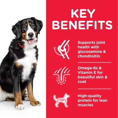 Hill's Science Plan Adult 1-5 Large Breed med Kylling