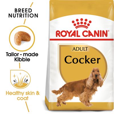 Royal Canin Cocker Spaniel Adult