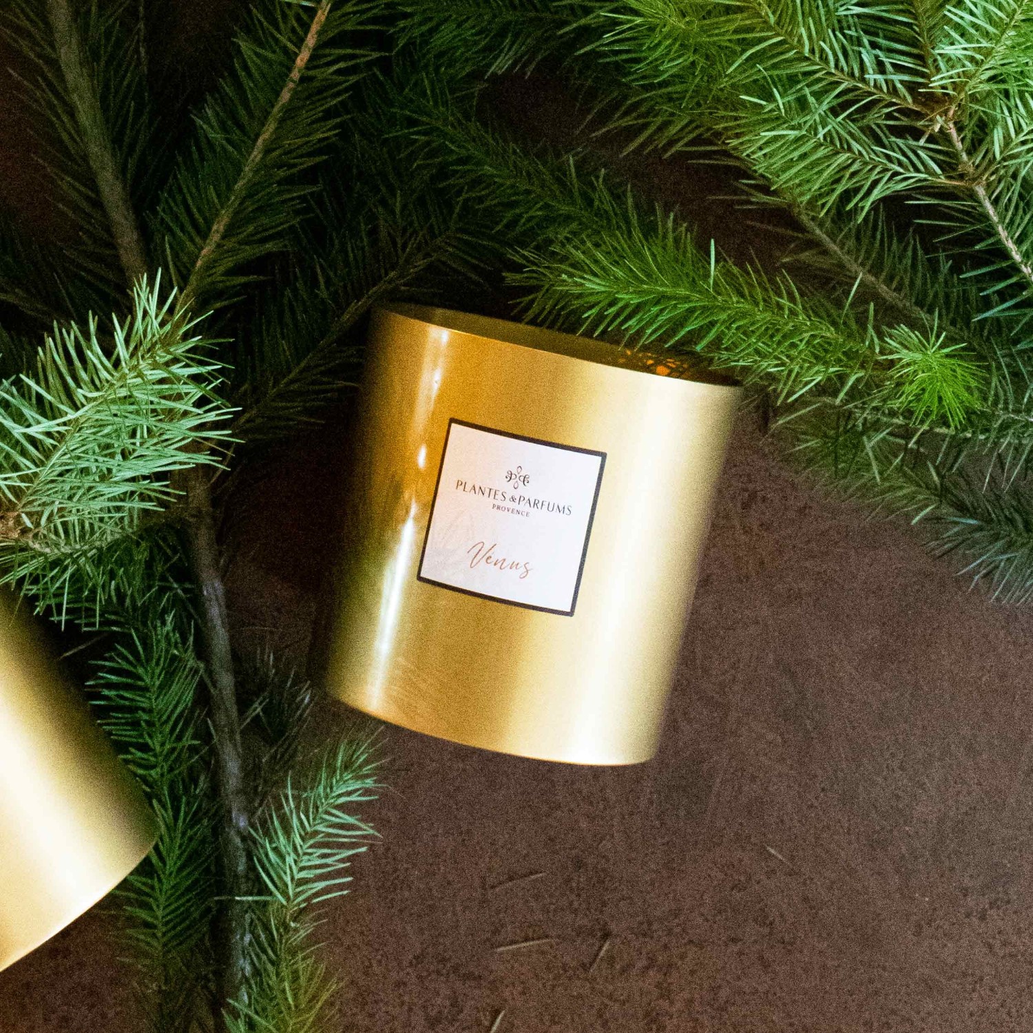 Plantes & Parfums Vénus