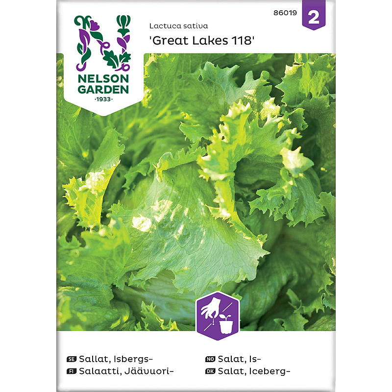 Nelson havefrøsalat is-, Great Lakes 118