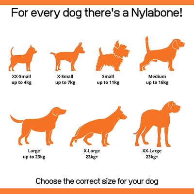 Nylabone Puppy Chill & Chew Toy