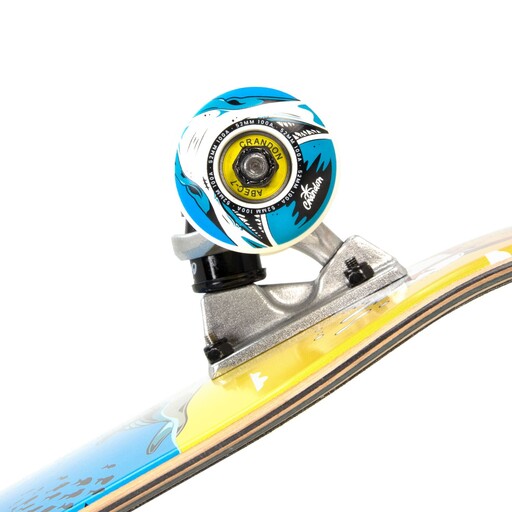  Complete Skate Crandon SKC825under