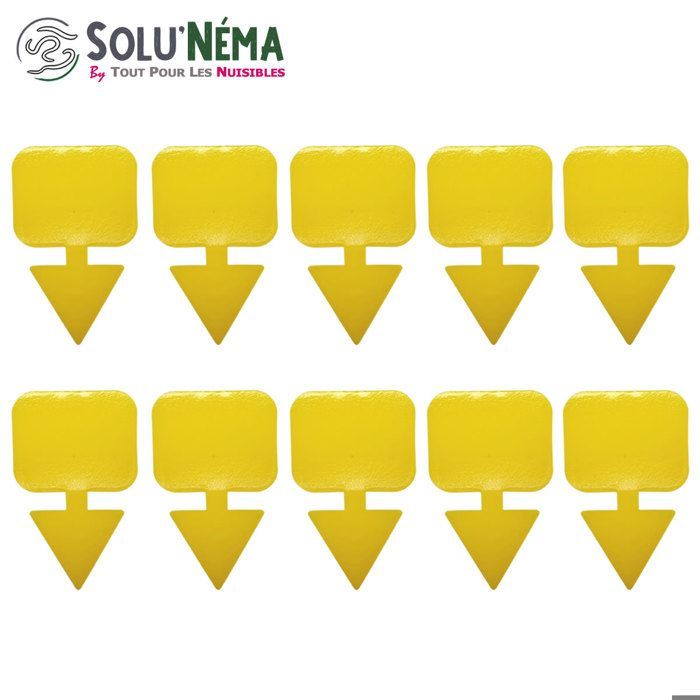 Kit para nematodos (5 millones) + 10 trampas adhesivas XXL - Contra mosquitas de los hongos - Trata 25 macetas