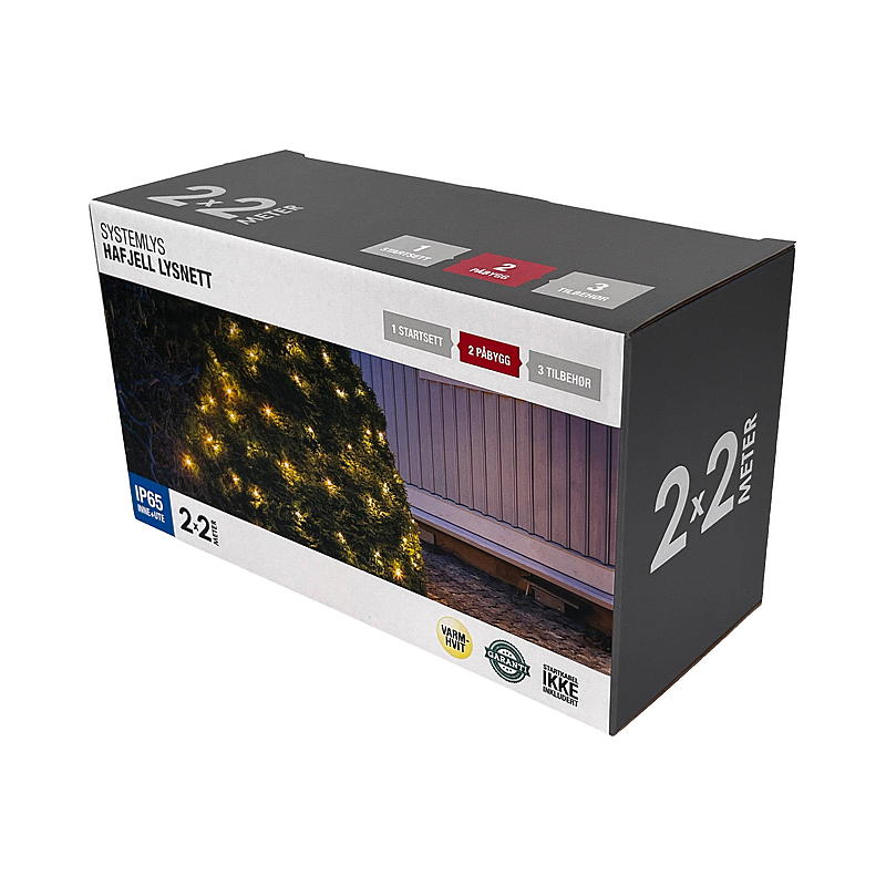 Grille lumineuse Home System 100 LED, 2 x 2 m, montage en surface, Hafjell