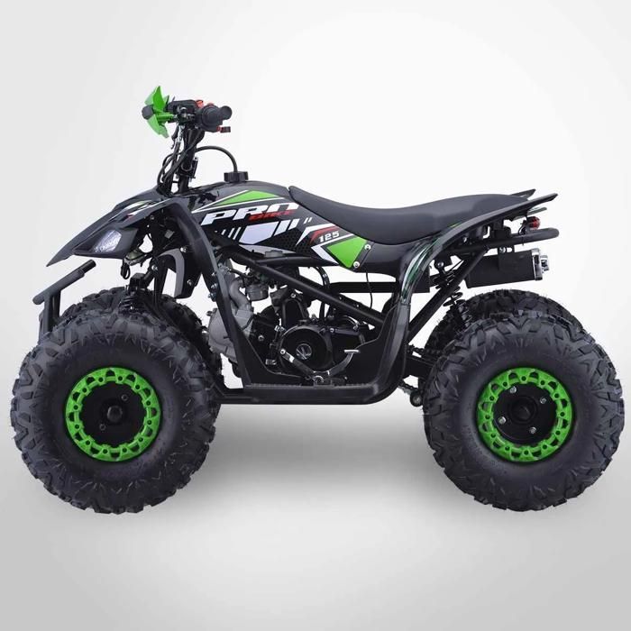 Quad infantil de 125 cm³ PROBIKE 125-R / Verde