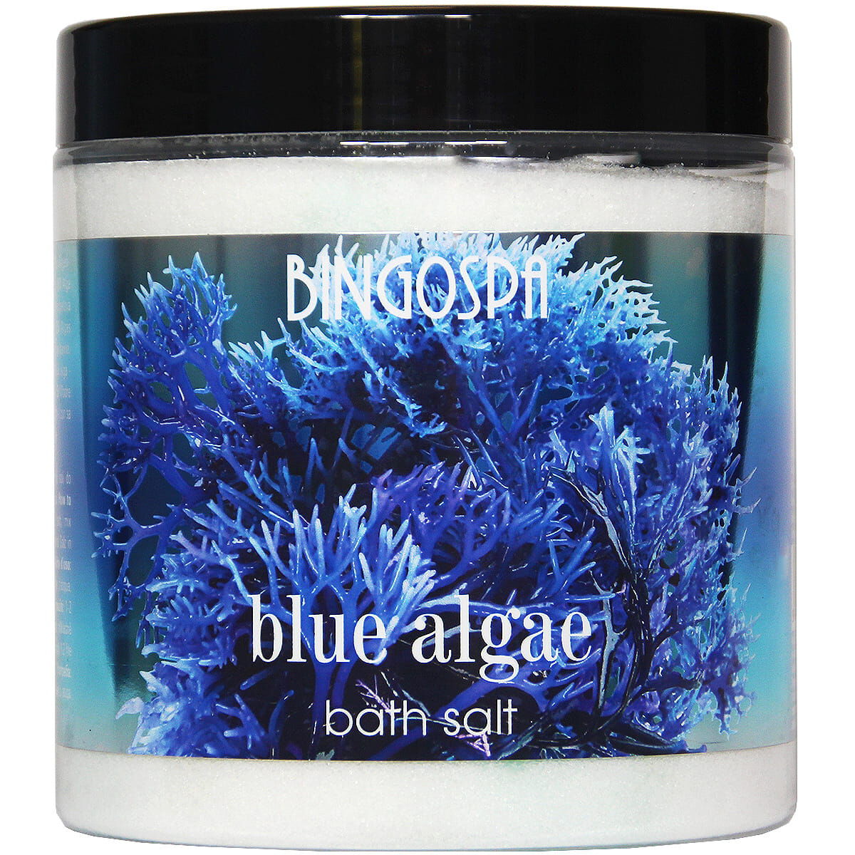 Bingospa