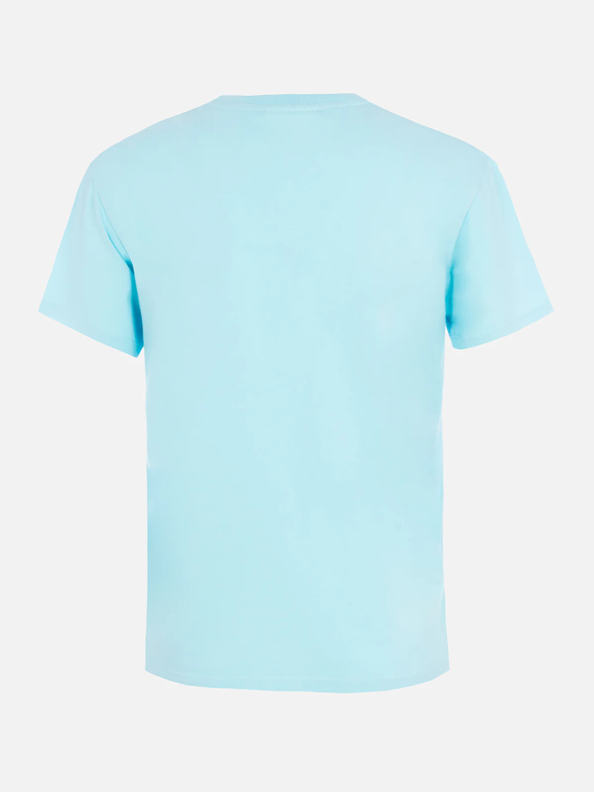 Emilie dames T-shirt met ronde hals in aquagroene katoenen jersey met