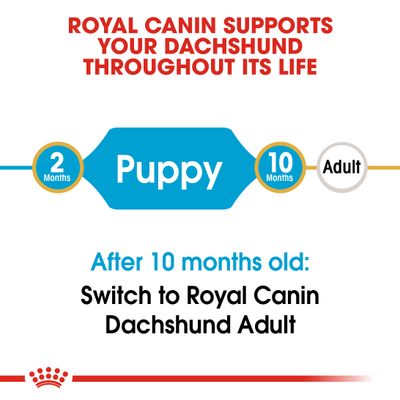 Royal Canin Dachshund Valp