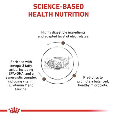 Royal Canin Veterinary Cat - Magen-Darm-Haarballen