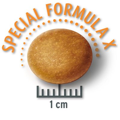 Concept voor Leven Voordelige Pakketten