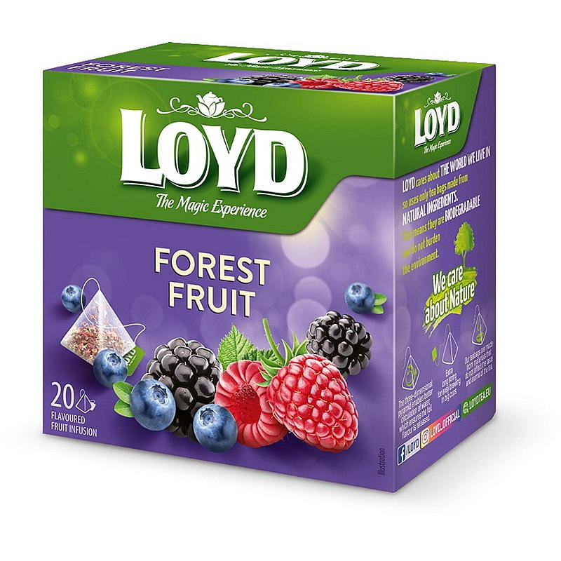Loyd Tea 20-pak Bosvruchten Loyd
