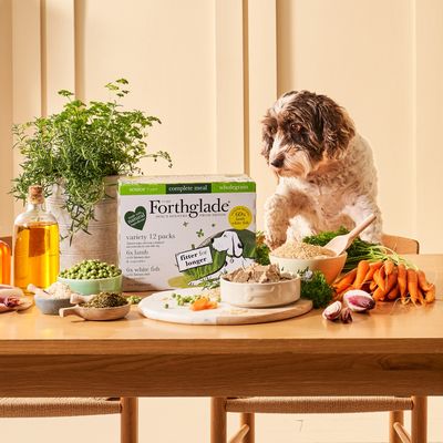 Forthglade Complete Meal Volkoren Senior Hond - Lam & Witte Vis