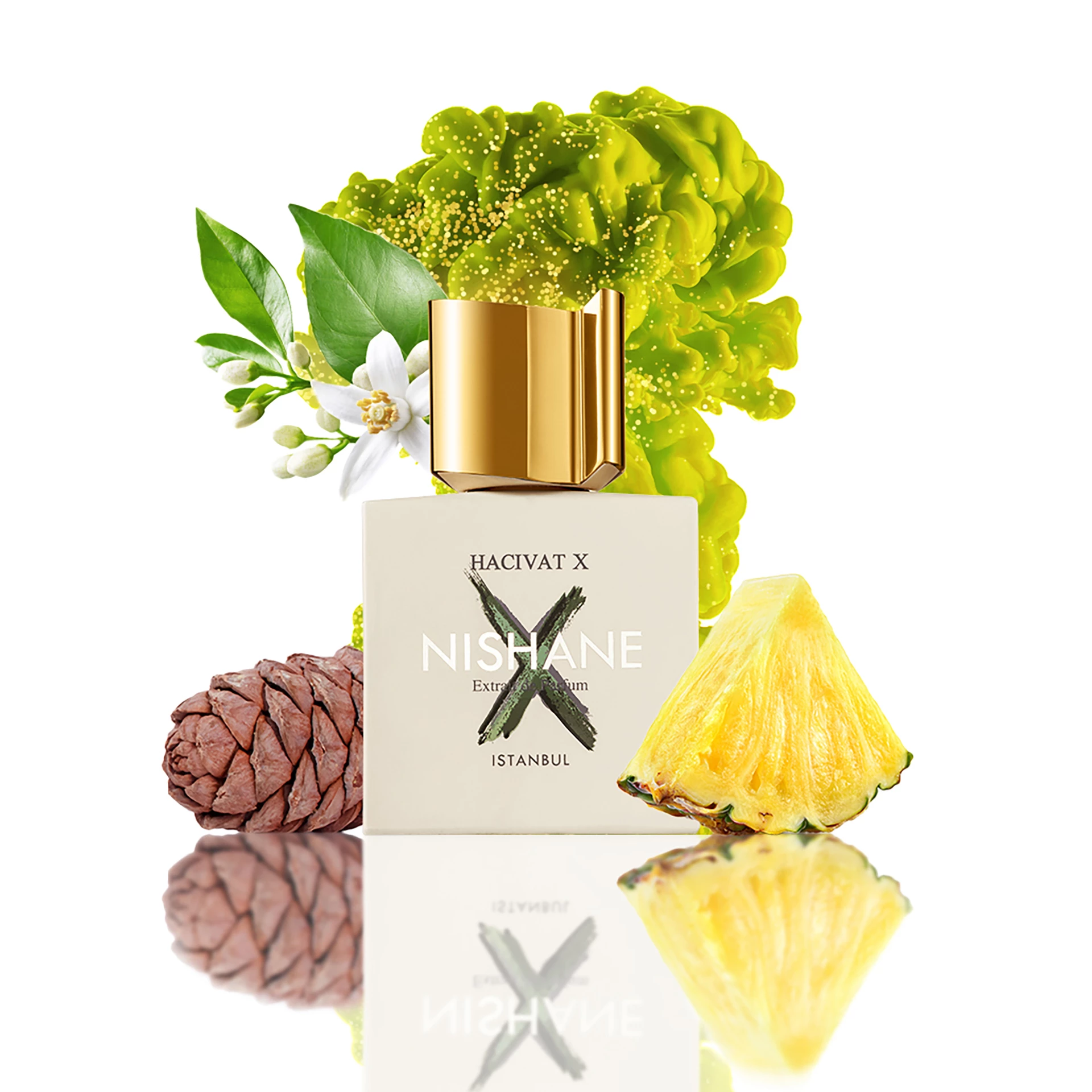 Hacivat X EdP 100 ml - Nišane