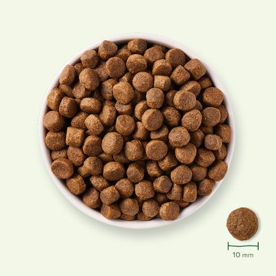 Yarrah Biologico Senza Cereali con Pollo Biologico