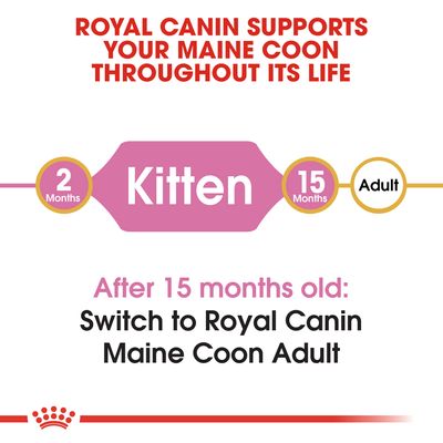 Royal Canin Maine Coon Kitten