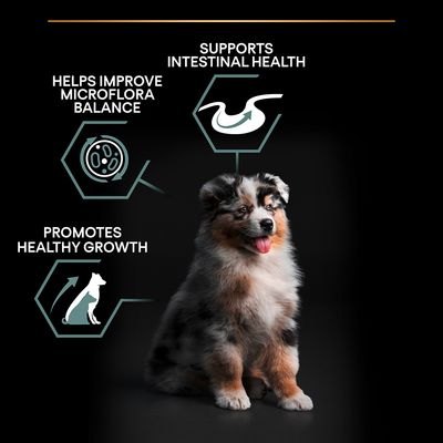 PURINA PRO PLAN Medium Welpenfutter Lamm & Reis für empfindliche Verdauung