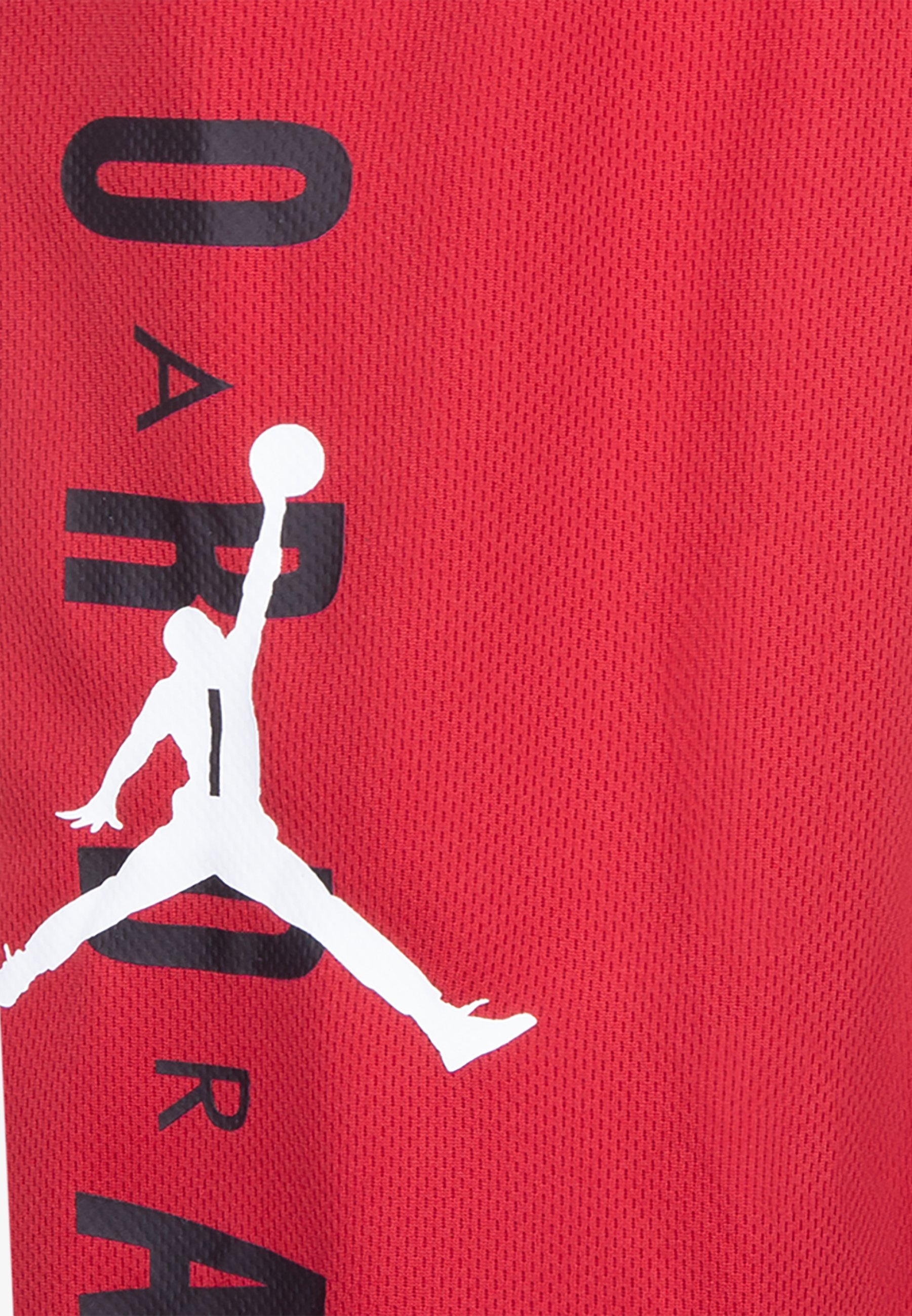 Jordan Sports shorts - gym rood