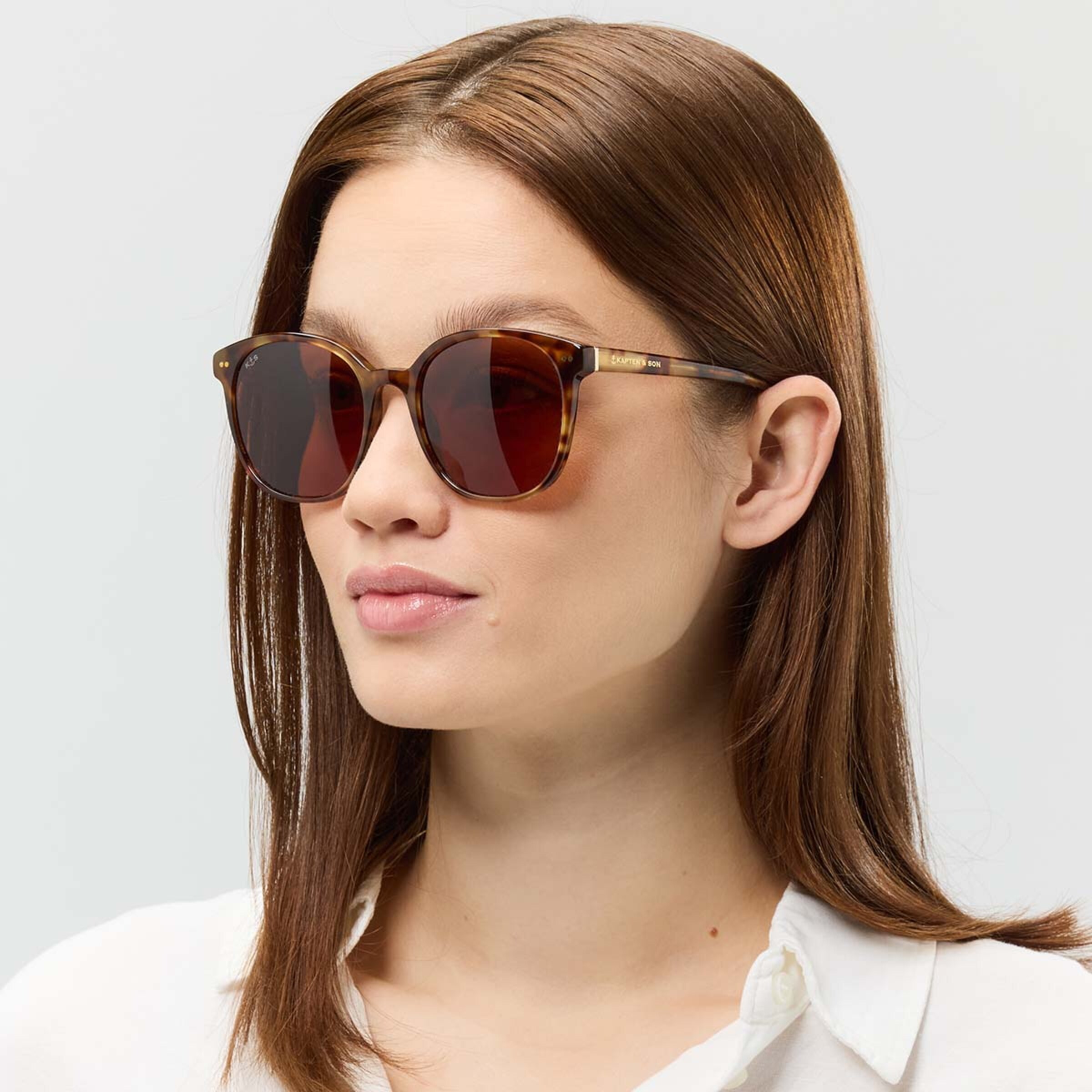 Tortue brune de Nairobi Havana
