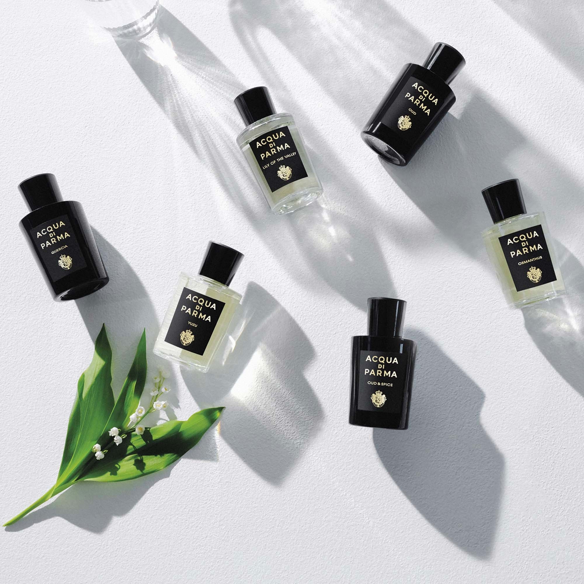 Signatures of the Sun Yuzu - Eau de Parfum Unisex, Eau de Parfum