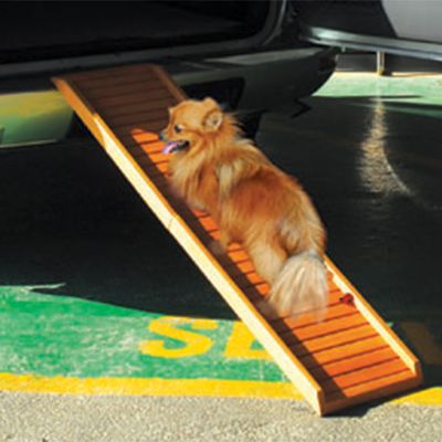Rampe pour chiens en coulisses