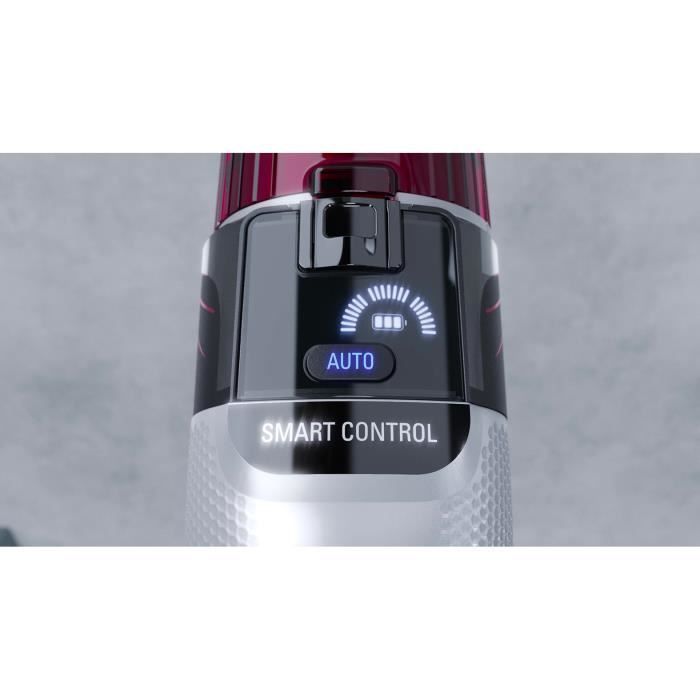 ROWENTA Aspirateur balai sans fil, Animal Care, Batterie amovible, X-Force Flex 9.60 RH2077WO