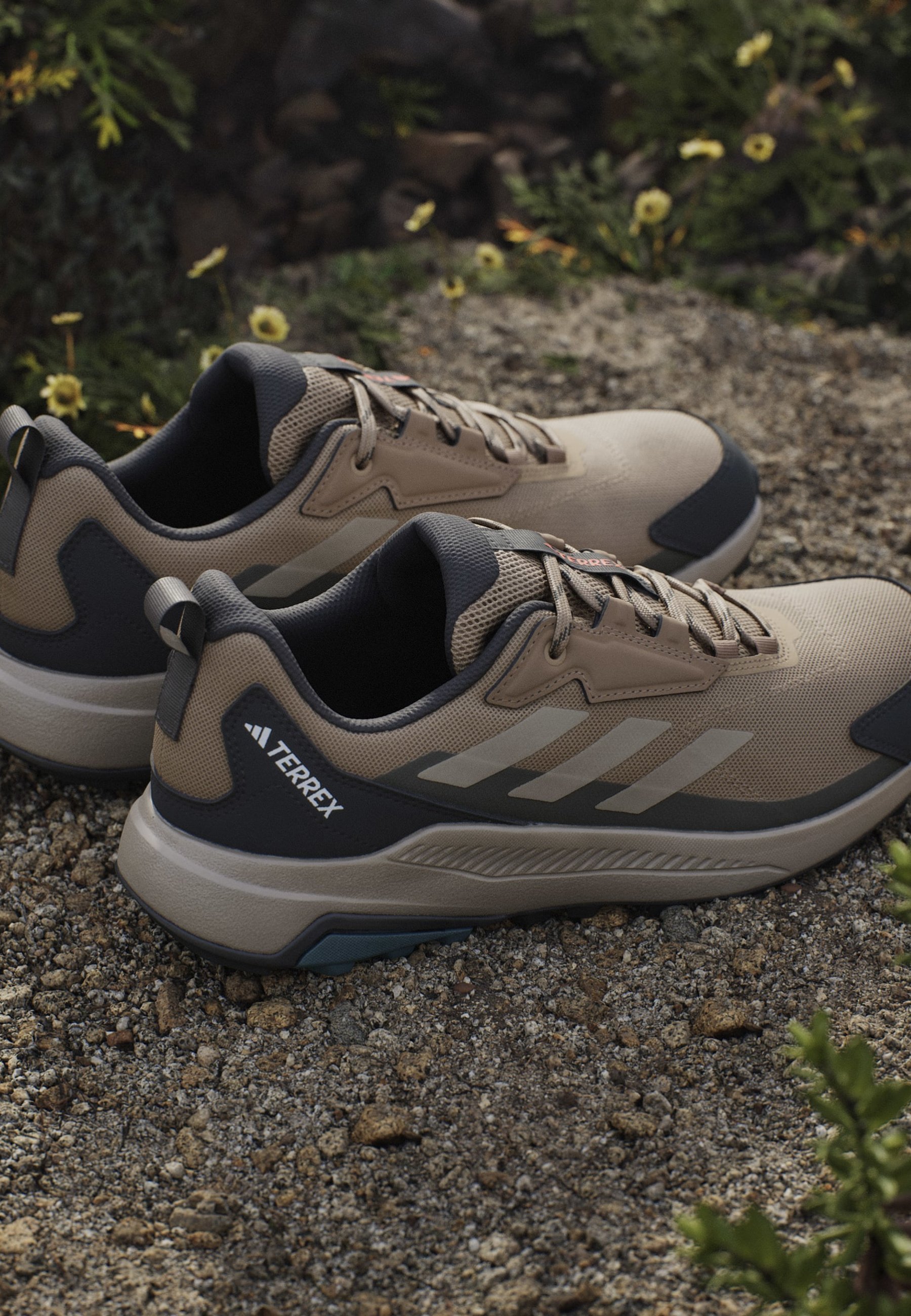Adidas Terrex ANYLANDER - Laipiojimo batai - kartono baltumo, šešėlių ir alyvuogių spalvos