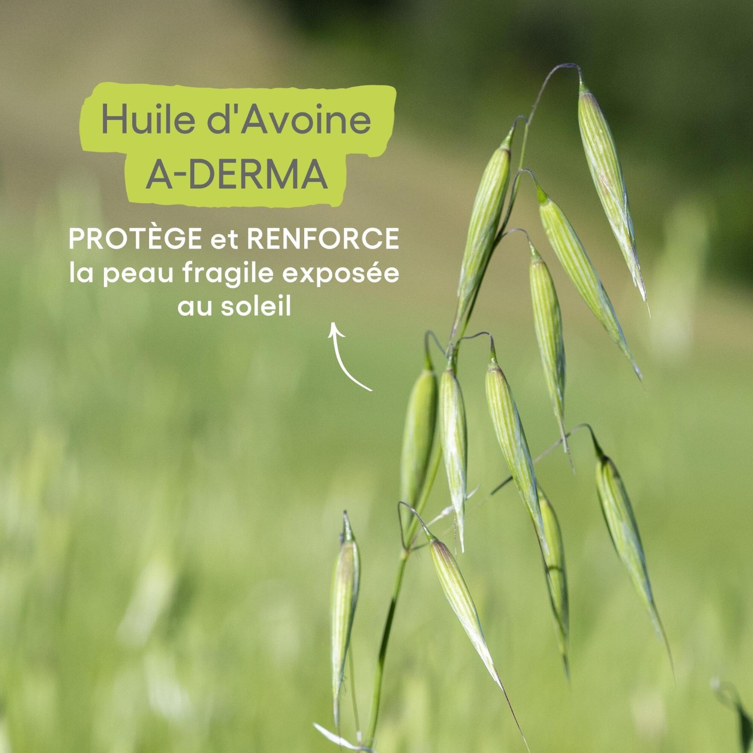 A-DERMA Spray solaire SPF50+