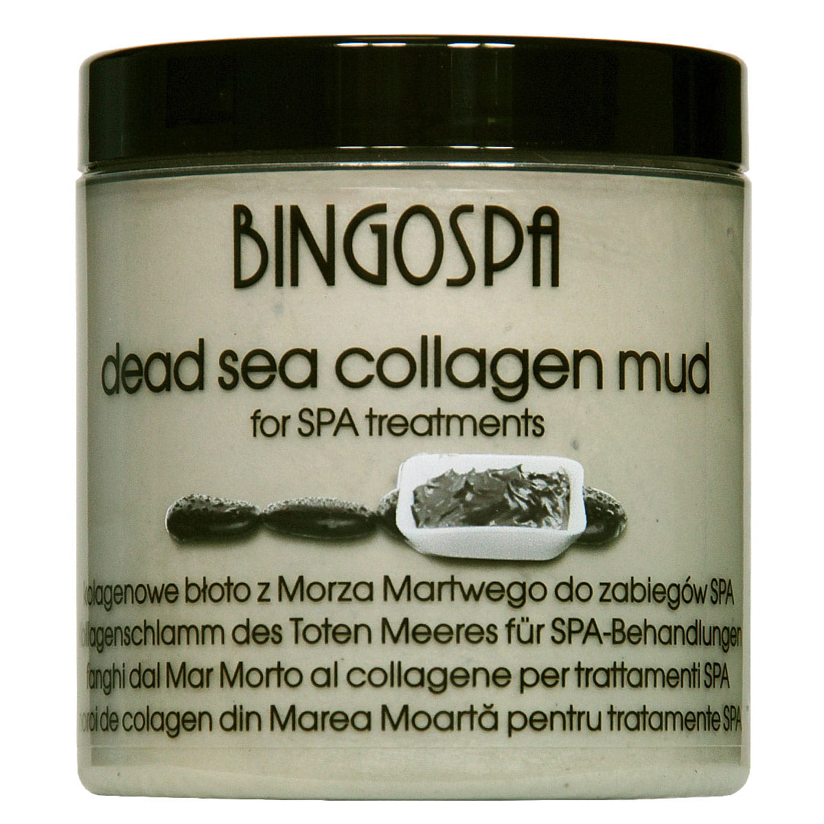 Bingospa