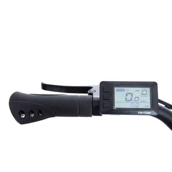 Bicicletă electrică de drumeție TLR 709