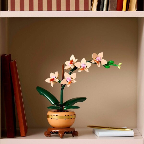 LEGO Botanicals 10343 Mini Orchidėja