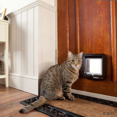 Porta para gatos SureFlap com microchip