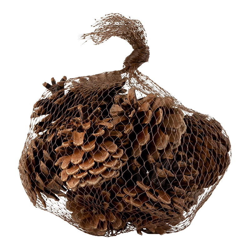 Hausgemachte Kegel, 15 Stück, naturbelassen