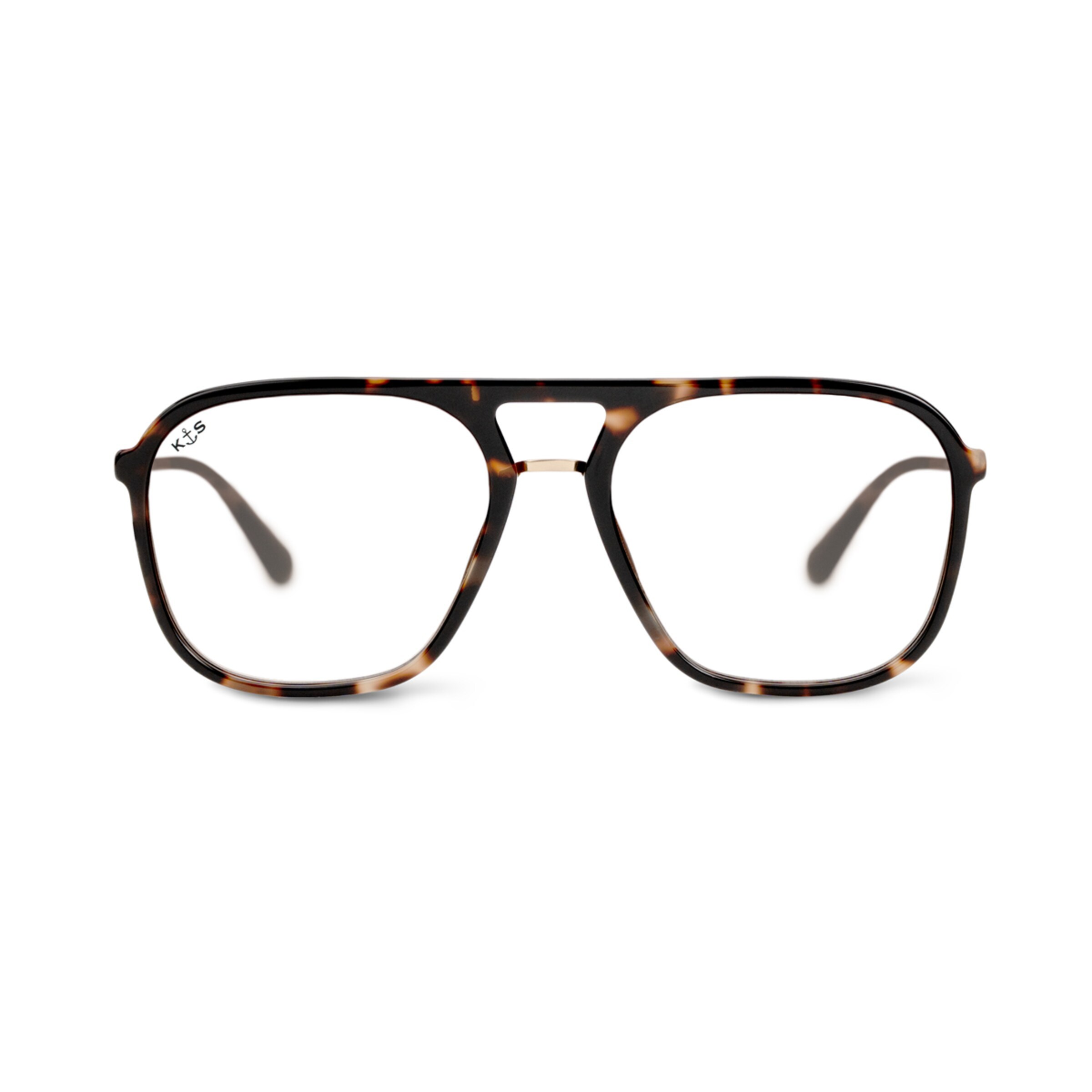 Tortue ambre de Zurich