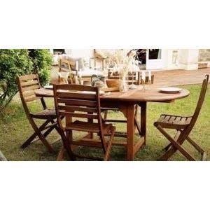 Régénérateur mobilier de jardin - spécial teck, bois exotique - 500 mL