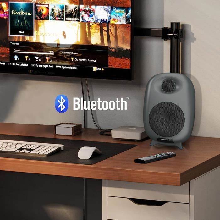 Enceinte PC 2x50W HiFi Haut-parleurs Actifs Bluetooth 5.0 Basse Paire d'enceintes pour TV/PC/Téléphone/Pad avec Télécommande Noir