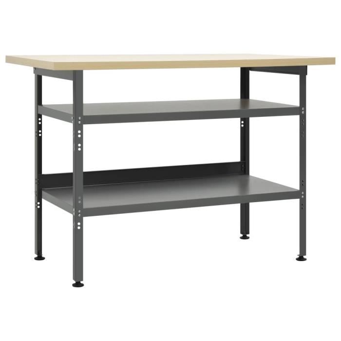 Banco de trabajo vidaXL Gris 120x60x85 cm Acero 145344
