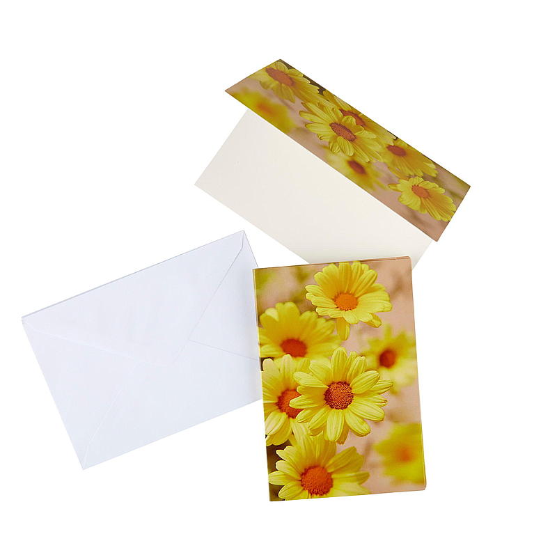 petites marguerites jaunes