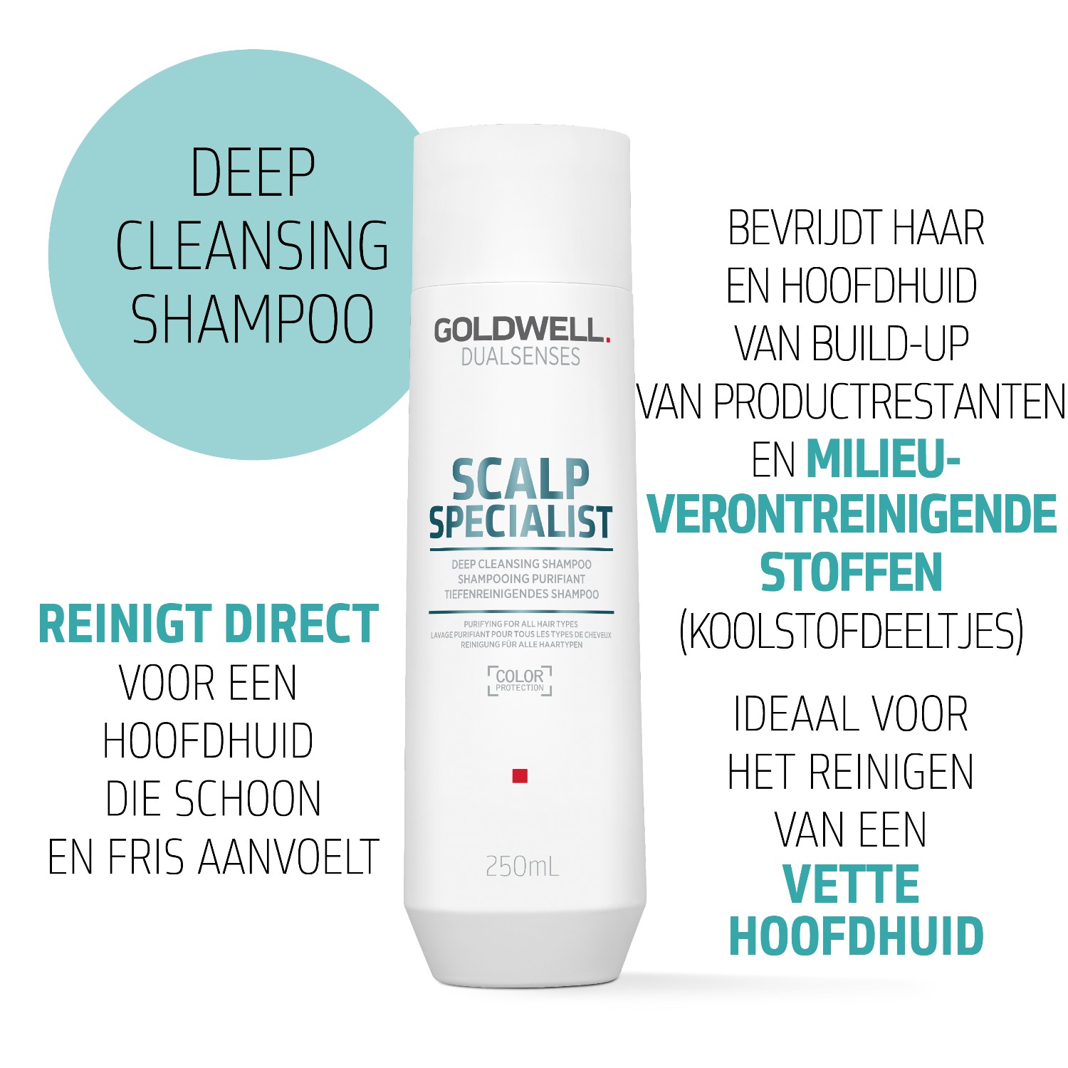 Goldwell Dualsenses Shampoo für die Kopfhaut – Tiefenreinigung – 250 ml