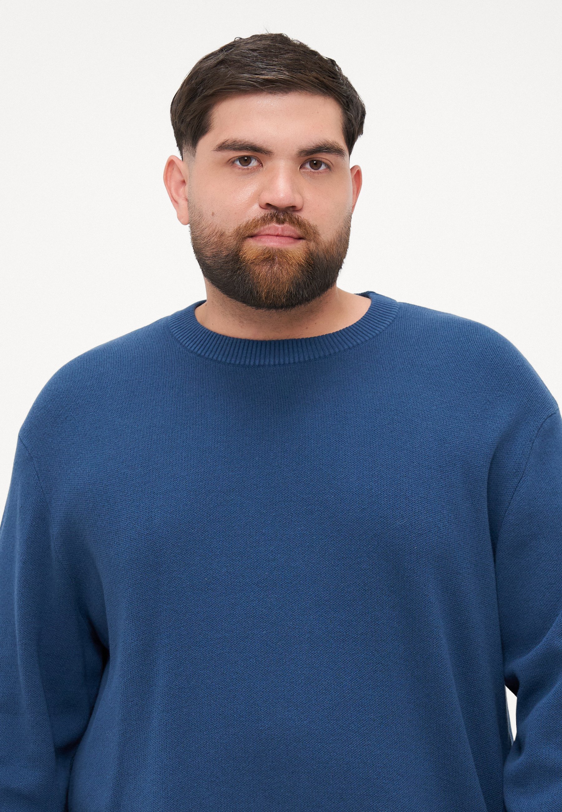 Jack & Jones JCOSIGNAL Rundhalspullover - Titan