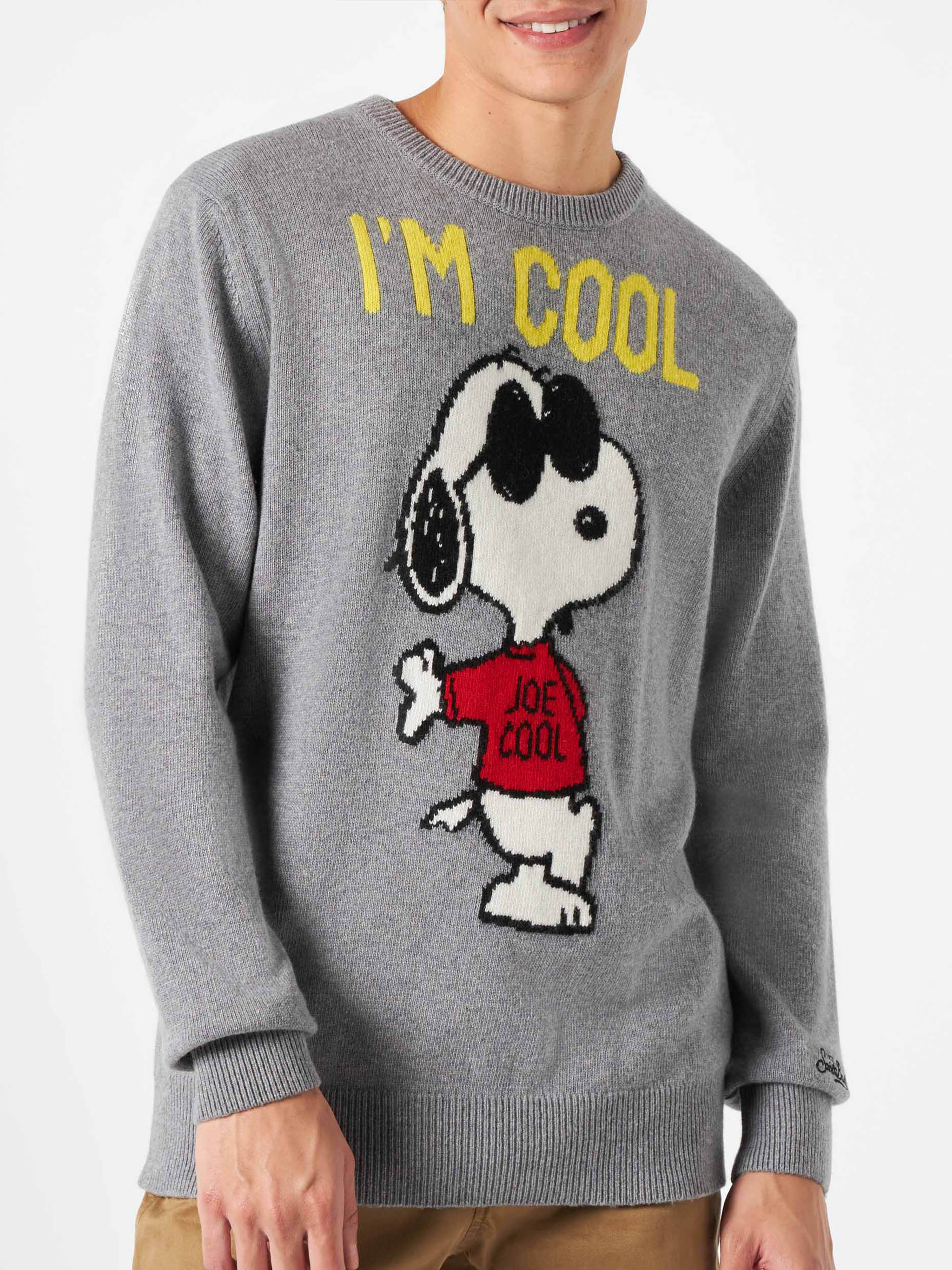 Maglione da uomo con Rock Snoopy grigio | SNOOPY - EDIZIONE SPECIALE P