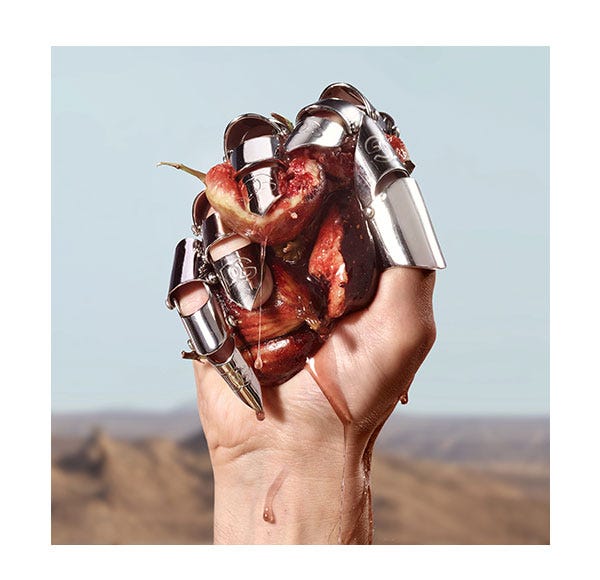 К футрола од Долче и Габане | 1 комад