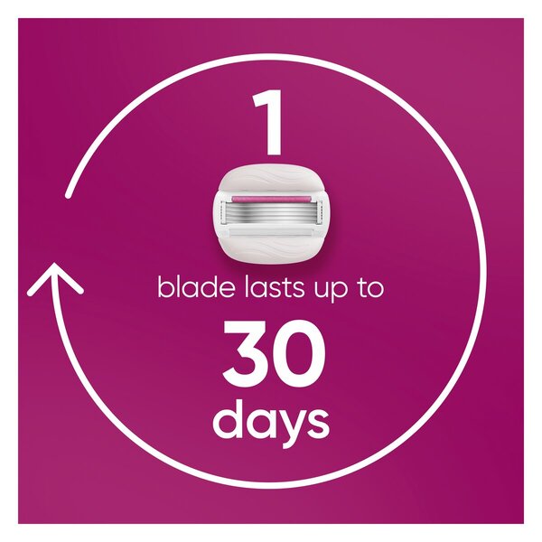Ξυράφι Gillette Venus Pro ComfortGlide Sugarberry<br>