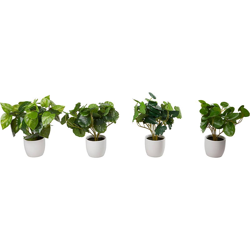 Hjem Grønn plante 25 cm i porselenspotte