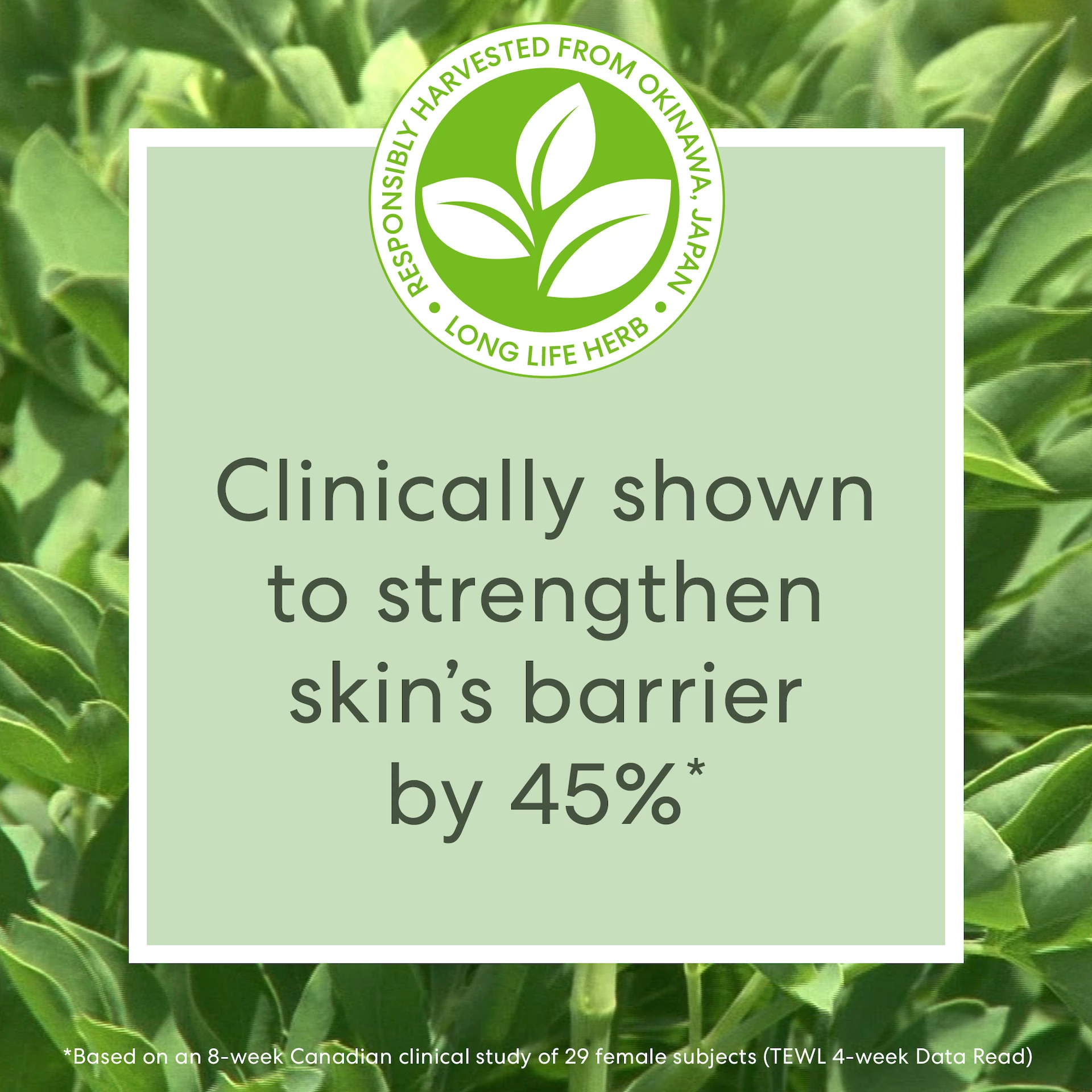 Ser facial cu plante Skinlongevity Long Life 50 ml - bareMinerals