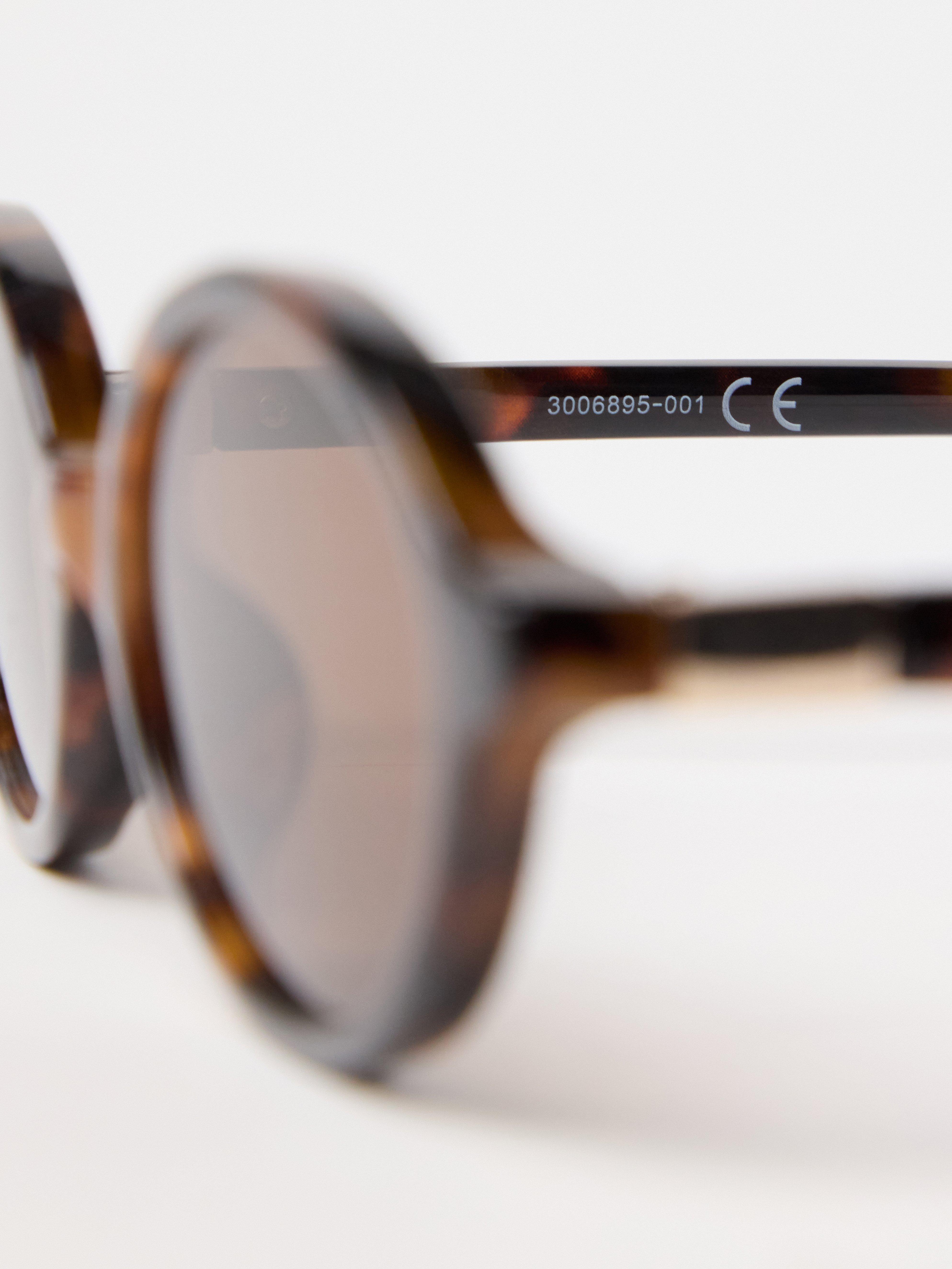 Óculos de Sol Femininos Marrons